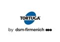 Logo DSM Tortuga